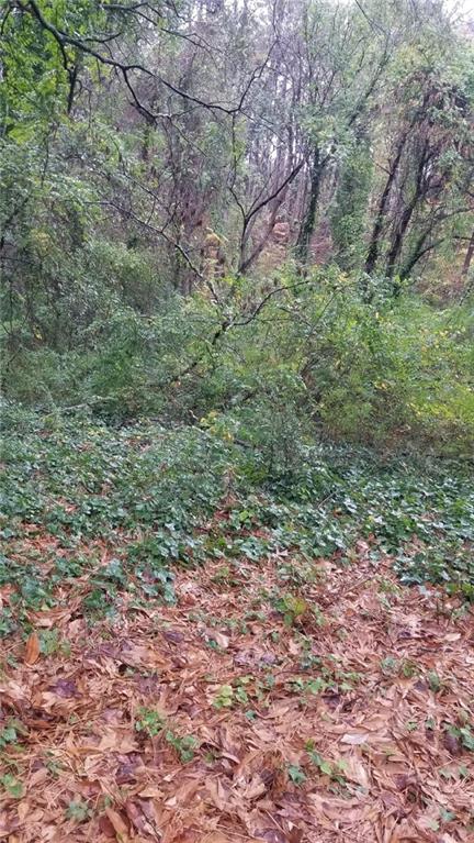 3387 Lake Valley Road Northwest Atlanta, GA 30331 - Photo 1 of 1 a view of a yard with a tree