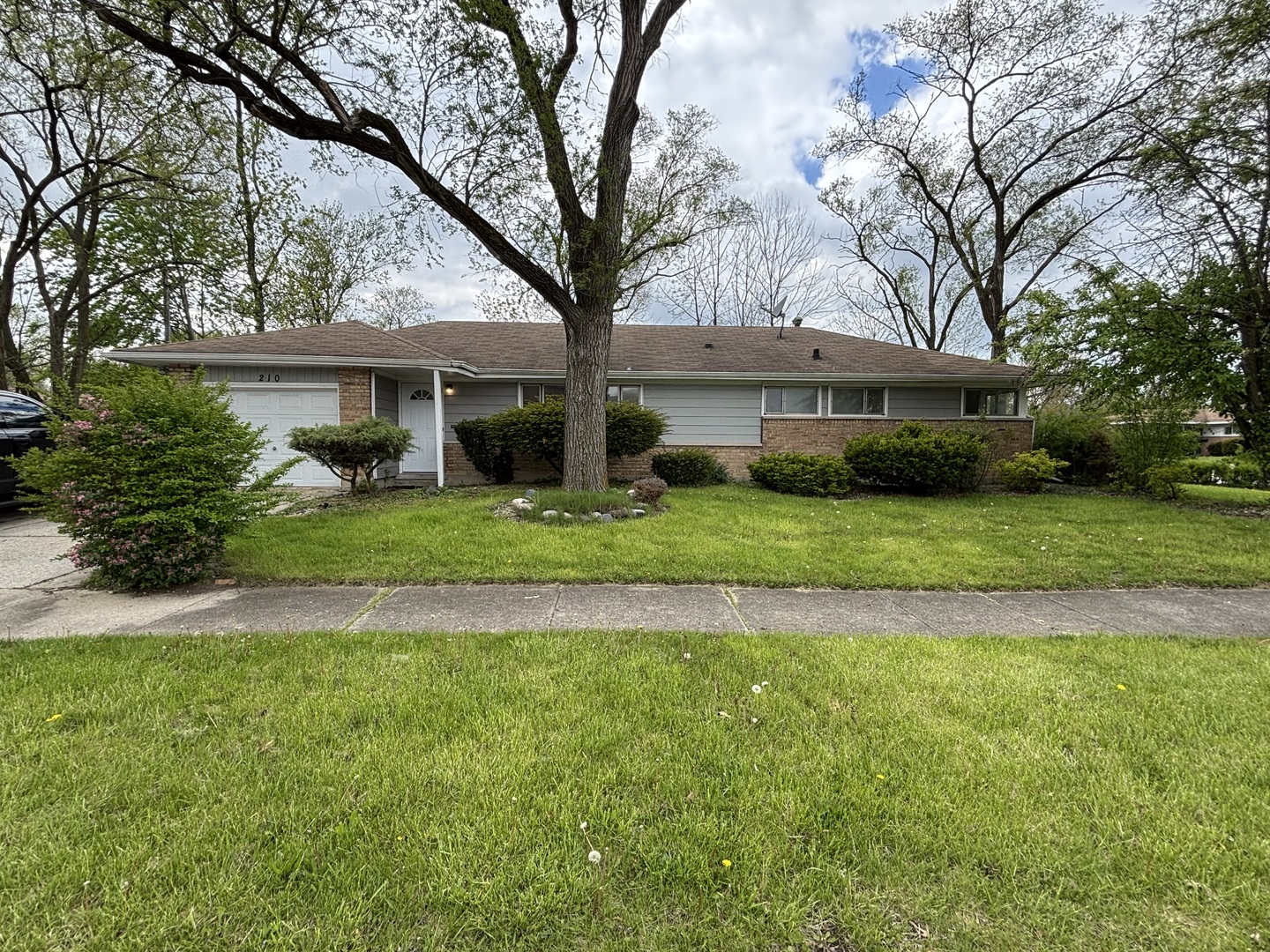 210 Wilson Street Park Forest, IL 60466 - Photo 1 of 15