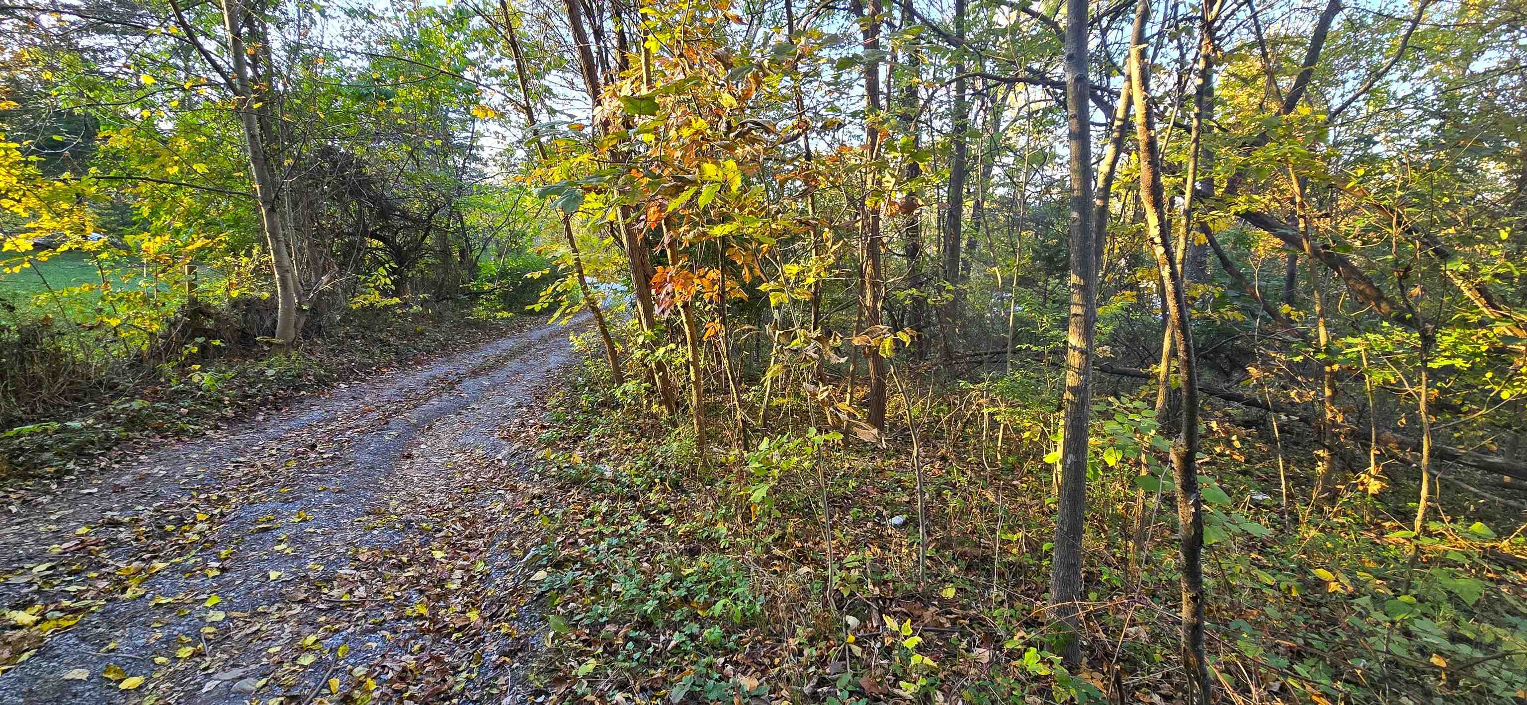 Cave Spring Lane Edinburg, VA 22824 - Photo 1 of 3 a view of a yard with large trees